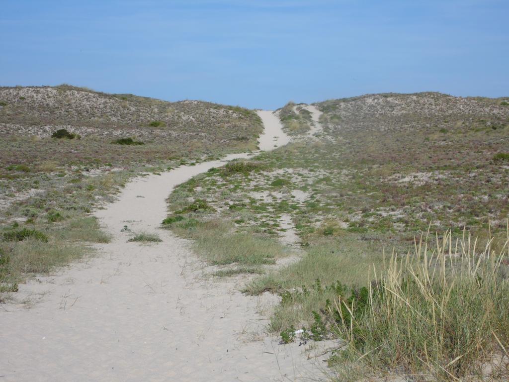 Peniche Blue Wave Home Atouguia Da Baleia Værelse billede